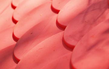 Holy City plastic roof costs