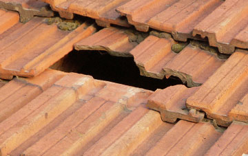 roof repair Holy City, Devon