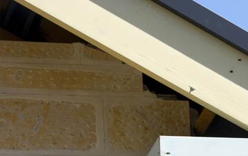 soffit repair Holy City
